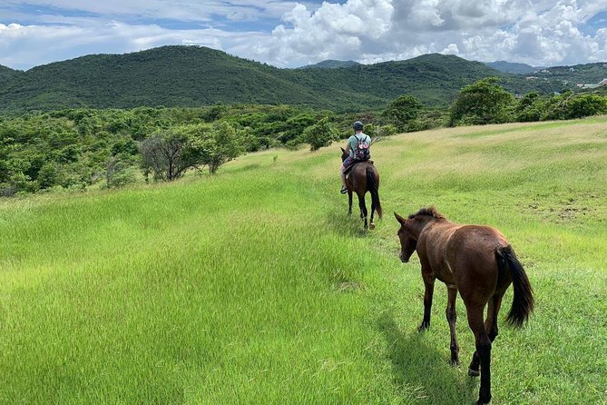 Private Advanced Horseback Beach Ride With Sandy Hoofs St. Lucia - Meeting and Pickup