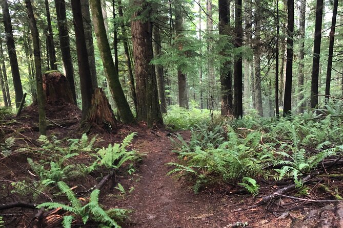 Private Adventure Mountain Biking in Seattles Eastside - Good To Know