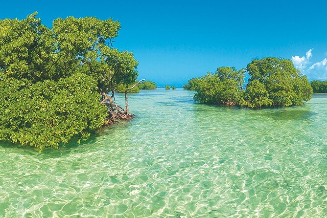 Private Boat Trip With Guide on the Most Beautiful Lagoon of Guadeloupe - Terms and Conditions