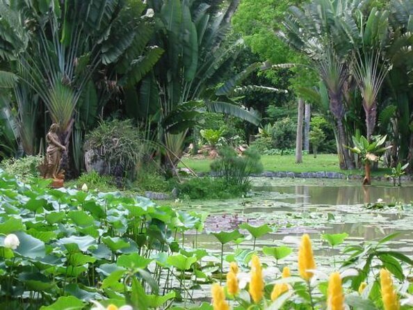 Private Botanical Garden Tour in Rio De Janeiro - Good To Know