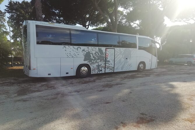 Private Bus From Venice Airport (Vce) to Trieste Cruise Port - Good To Know