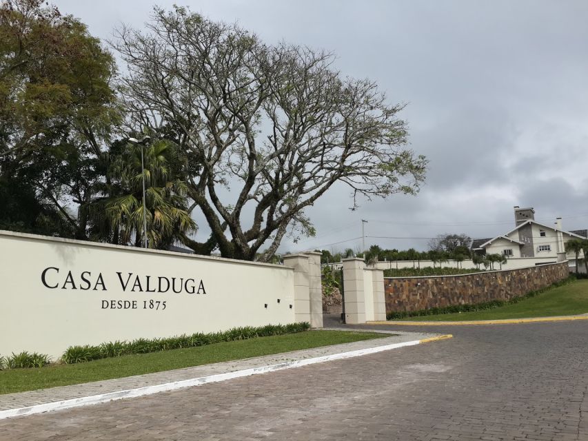 Private Day Trip to Vale Dos Vinhedos! - Participant Information