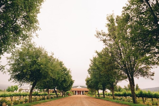 Private Full Day Guided Trip to Casablanca Valley - Visit to 2 Vineyards - Good To Know