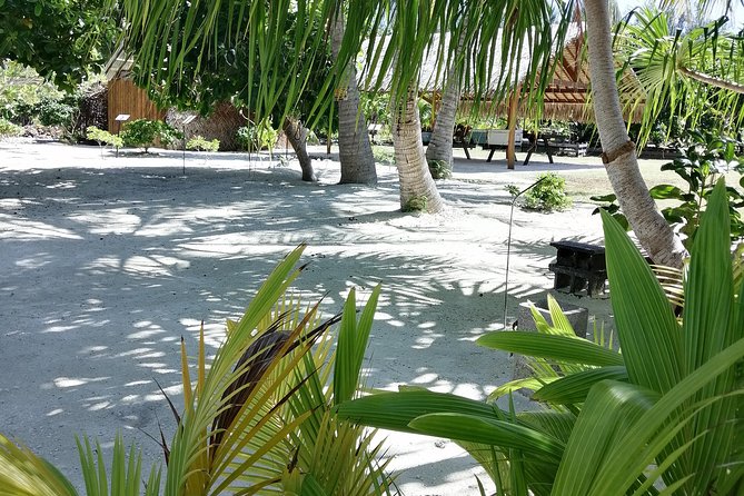 PRIVATE FULL DAY LAGOON TOUR - Bora Bora Cultural Lagoon Tour - Tour Details