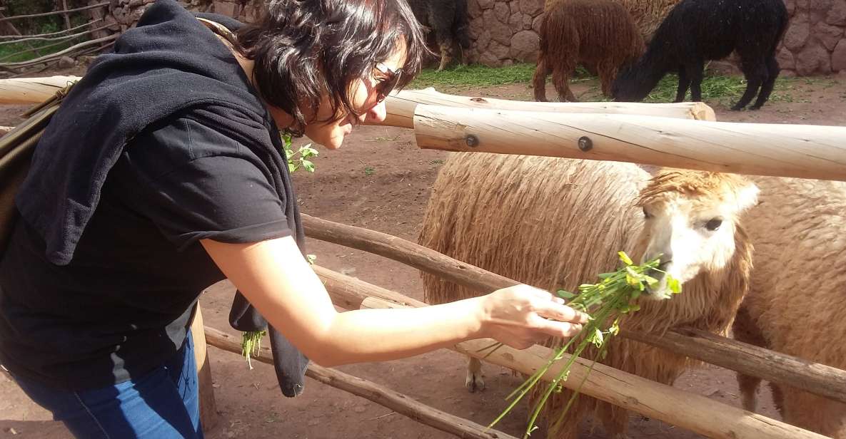 Private Full-Day Sacred Valley & Alpaca Farm Tour - Activity Details