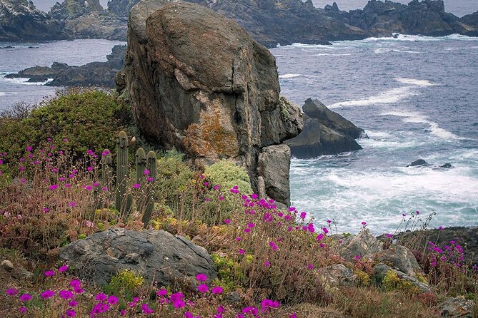 Private Garden Tour in Central Coast of Chile With Lunch Included