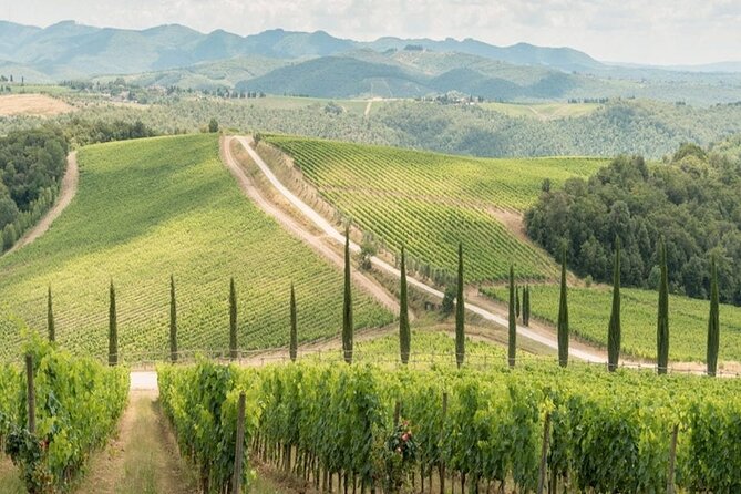 Private Half Day Tour to Chianti Classico From Florence - Departure Point