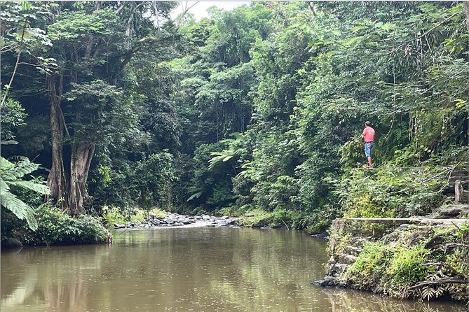 Private Half-Day Tour to El Yunque Rainforest Puerto Rico