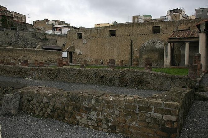 Private Herculaneum & Mount Vesuvius Shore Excursion From Naples Port - Highlights of the Excursion