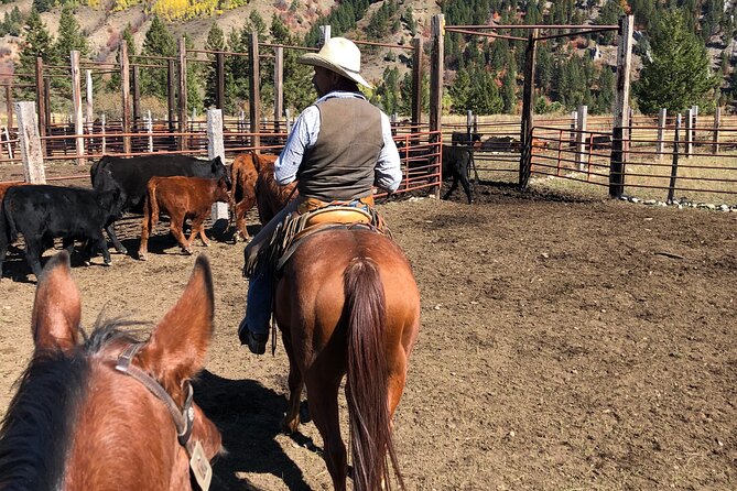 Private Horseback Riding in Wyoming - Good To Know