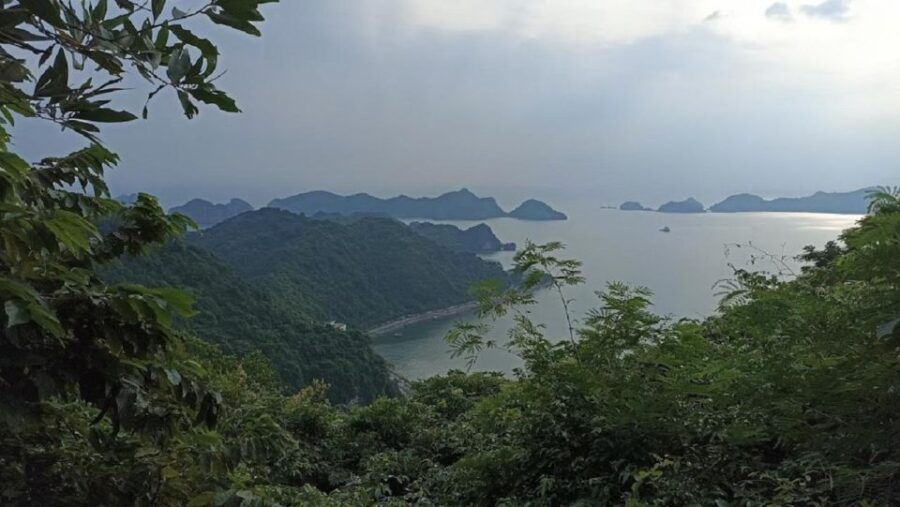 Private Lan Ha Bay Day Cruise From Hanoi With a Local Guide - Good To Know