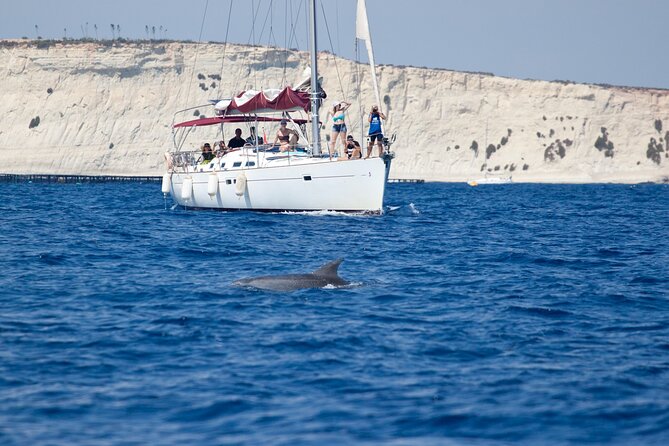 Private Marine Life Spotting - Dolphin Watching Ecomarine Malta - Pricing and Booking Information