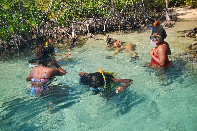 Private Parguera Snorkeling, Sunset & Biobay Swim Boat Experience From San Juan - Traveler Photos