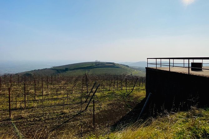 Private Scenic Transfer From Venice to Florence - Good To Know