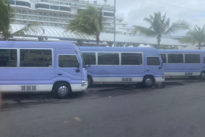Private Sightseeing Tour Around Nassau by Bus - Good To Know