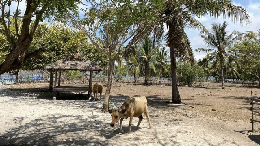 Private Snorkeling Gili Gede, Gili Asahan, Gili Goleng Tour - Inclusions and Itinerary