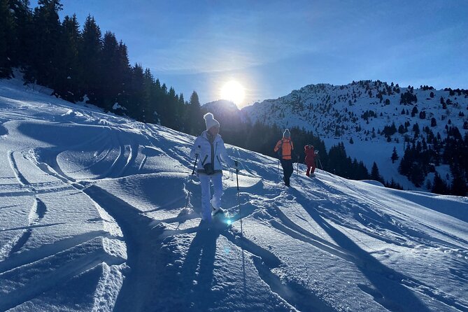 Private Snowshoe Hike in Courchevel - Pricing and Guarantee