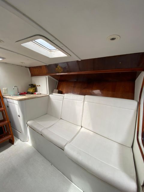 Private Speedboat Tour in Rio De Janeiro - Good To Know