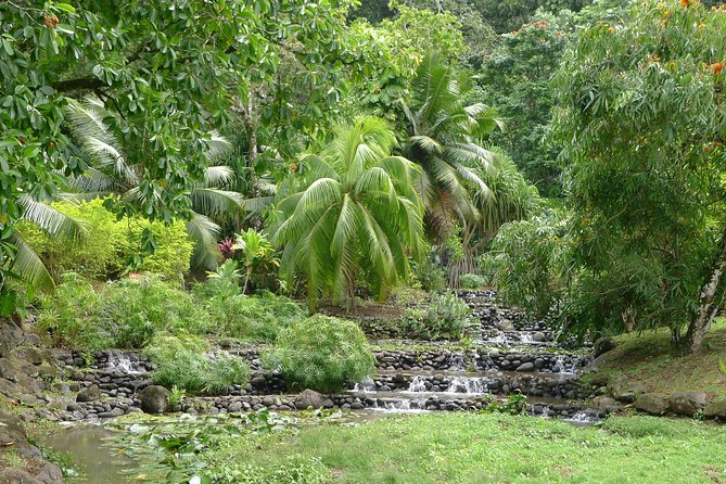 Private Tahiti Half Circle Island Tour by Bus - Half Day - Cancellation Policy