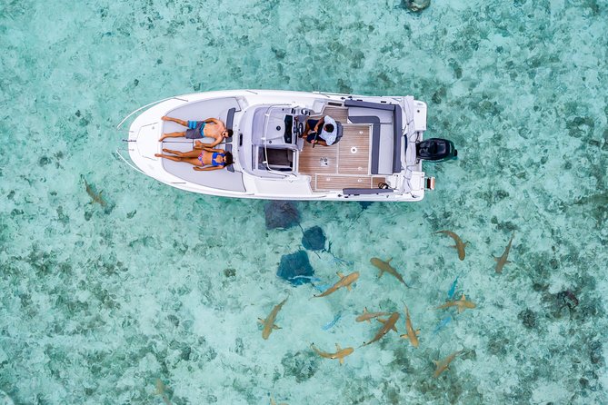 Private Tour: Bora Bora Lagoon Eco Snorkel Cruise - 3hrs or 6hrs - Good To Know