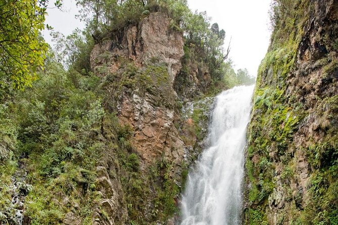 Private Tour in Constanza Dominican Republic for 15 People