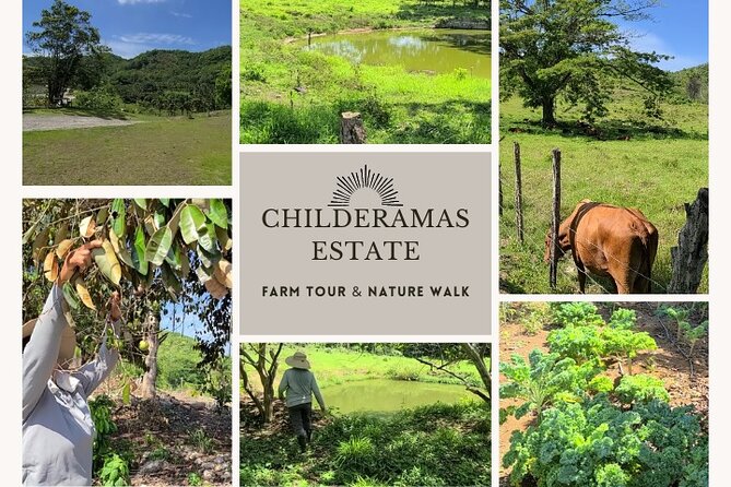 Private Tour of Childermas Estate: A Female-Owned Working Farm - Farming Practices