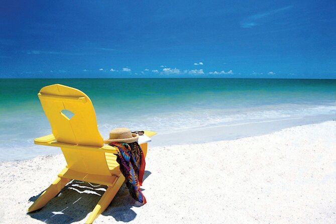 Private Tour: Orlando to Clearwater Beach, Transport & Driver-Guide - Transport Options From Orlando to Clearwater Beach