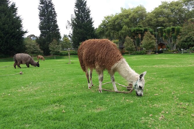 Private Tour to Otavalo Visiting Quitsato, Peguche, Cuicocha