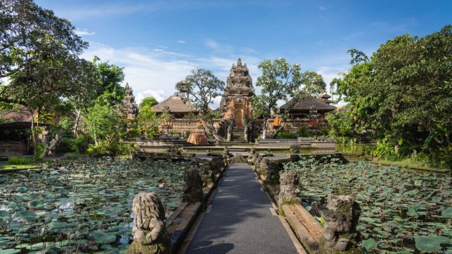 Private Tour, Ubud Monkey Forest Tour - Good To Know