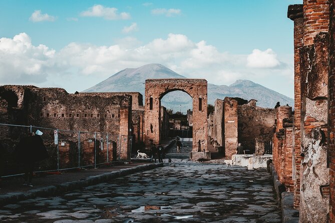 Private Tour Vesuvius Herculaneum and Pompeii From Naples - Good To Know