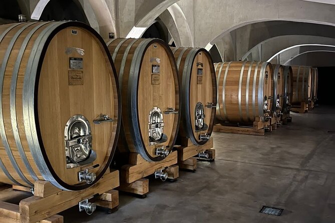 Private Tour: Wineries for the Day in Mendoza
