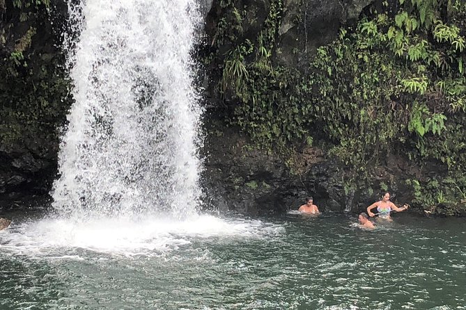 Private Tours : OAHU,MAUI, KAUAI or BIG ISLAND : Pick Any ISLAND - Tour Options Available on Each Island