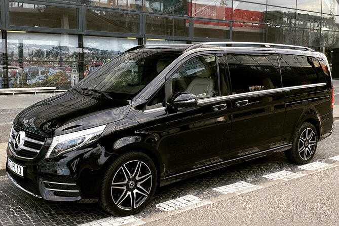 Private Transfer From the Cruise Ship Port of Gdynia to Gdansk Center