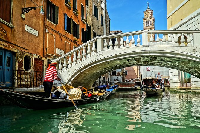 Private Transfer: Venice to Marco Polo Airport VCE (Business Car) - Good To Know