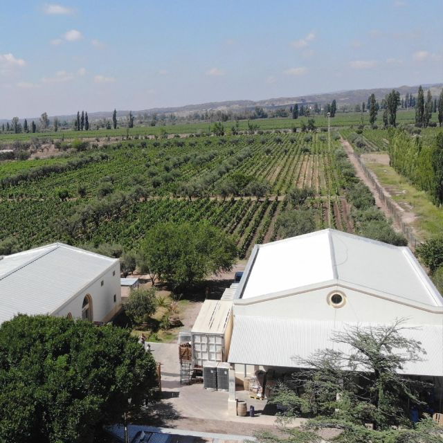 Private Trasfer to Wineries in Lujan De Cuyo/Maipu, Full Day - Inclusions