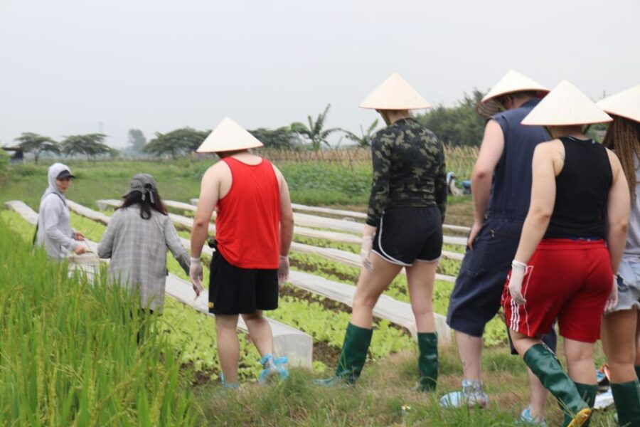 Private Wet Rice Growing Day Tour From Hanoi With Lunch - Good To Know