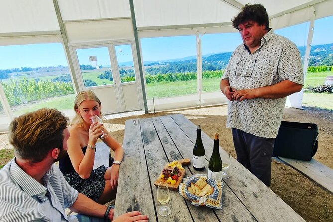 Private Wine Tasting at Vineyard From Krakow - Cancellation Policy Details