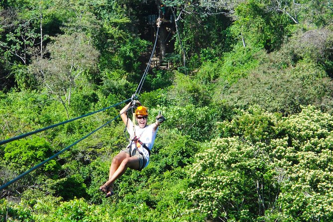 Private Ziplines, Monkey Park and Beaches in Roatan (Mar ) - Private Ziplines Experience