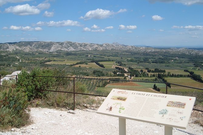Provence Reds & Rose Wine Lovers Day Tour With Private Driver