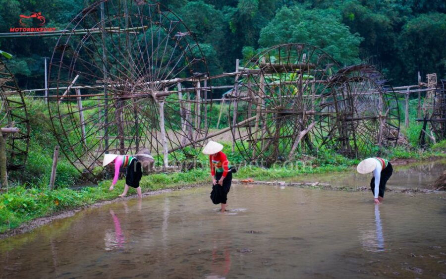 Pu Luong Trekking Tour Price 3 Days 2 Nights - Good To Know