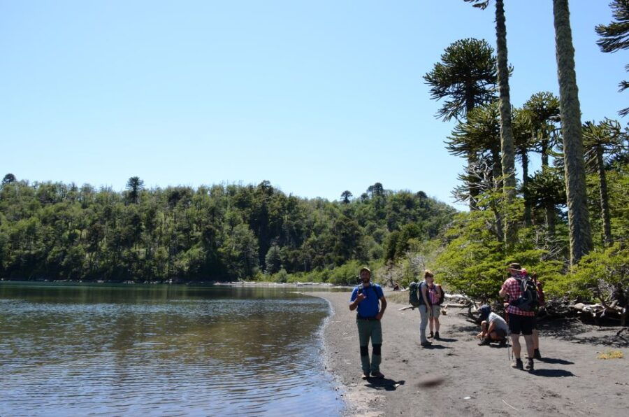 Pucon: Full-Day Villarrica National Park Hike