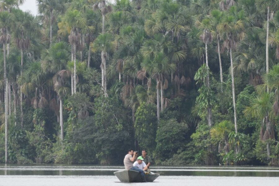 Puerto Maldonado: Sandoval Lake Full-Day Trip With Canoeing - Good To Know