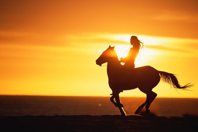 Puerto Plata: Sunset Beach Horseback Riding