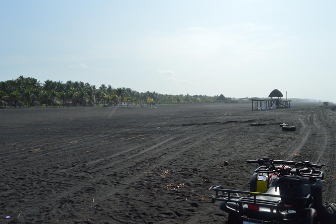 Puerto Quetzal - San Jose Beach Full-Day Tour - Tour Inclusions