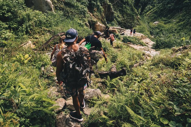 Puerto Rico Guided Adventure in El Yunque Rainforest - Overview of El Yunque National Park