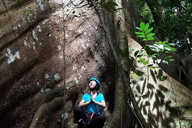 Puerto Rico: Small-Group Hiking Tour - Unexpectedly Great Experience