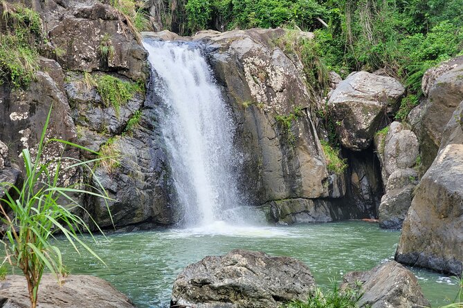 Puerto Rico Tour to El Yunque Rainforest Hiking to Waterfall - Good To Know