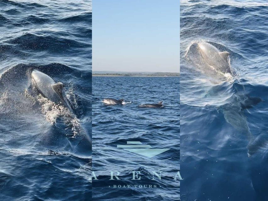 Pula: Brijuni Sunset Dolphin Watching Tour W/ Dinner/Drinks - Good To Know