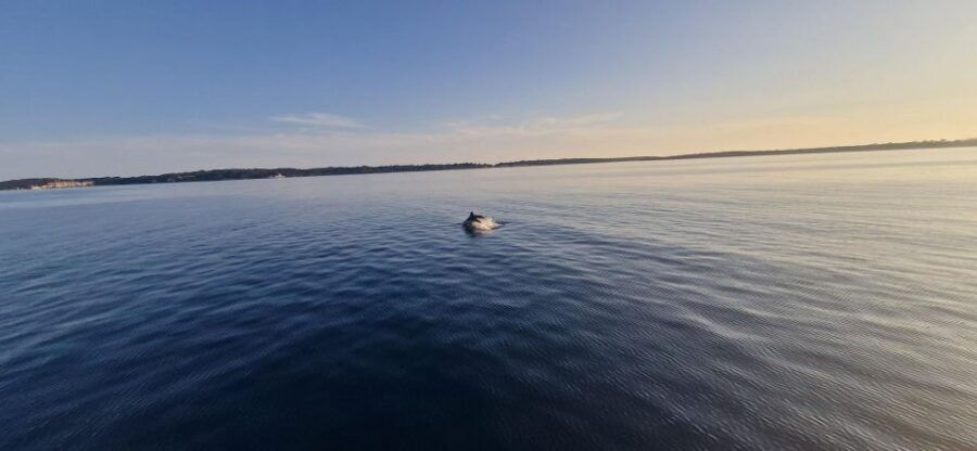 Pula: Charter Boat Tour on Yacht With Skipper - Good To Know