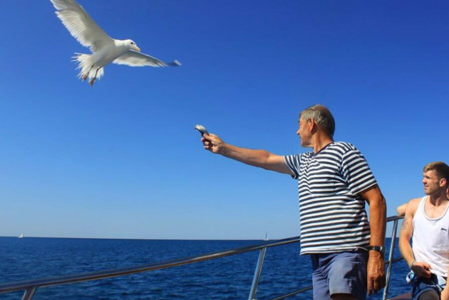 Pula: Dolphin Watching Sunset Cruise With Dinner - Good To Know